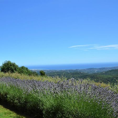 La Bastide Des Pins Bed & Breakfast Vence Ngoại thất bức ảnh