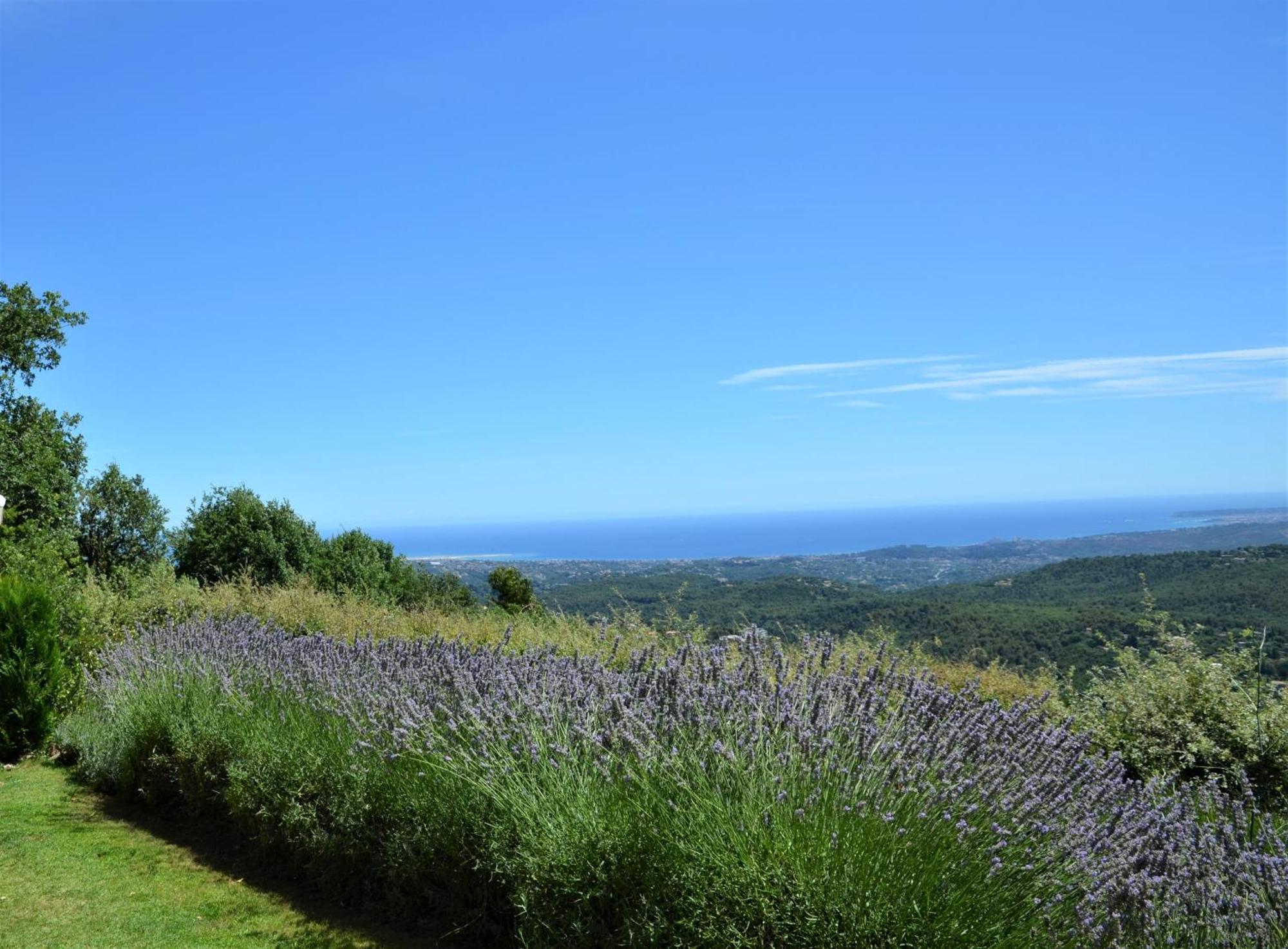 La Bastide Des Pins Bed & Breakfast Vence Ngoại thất bức ảnh
