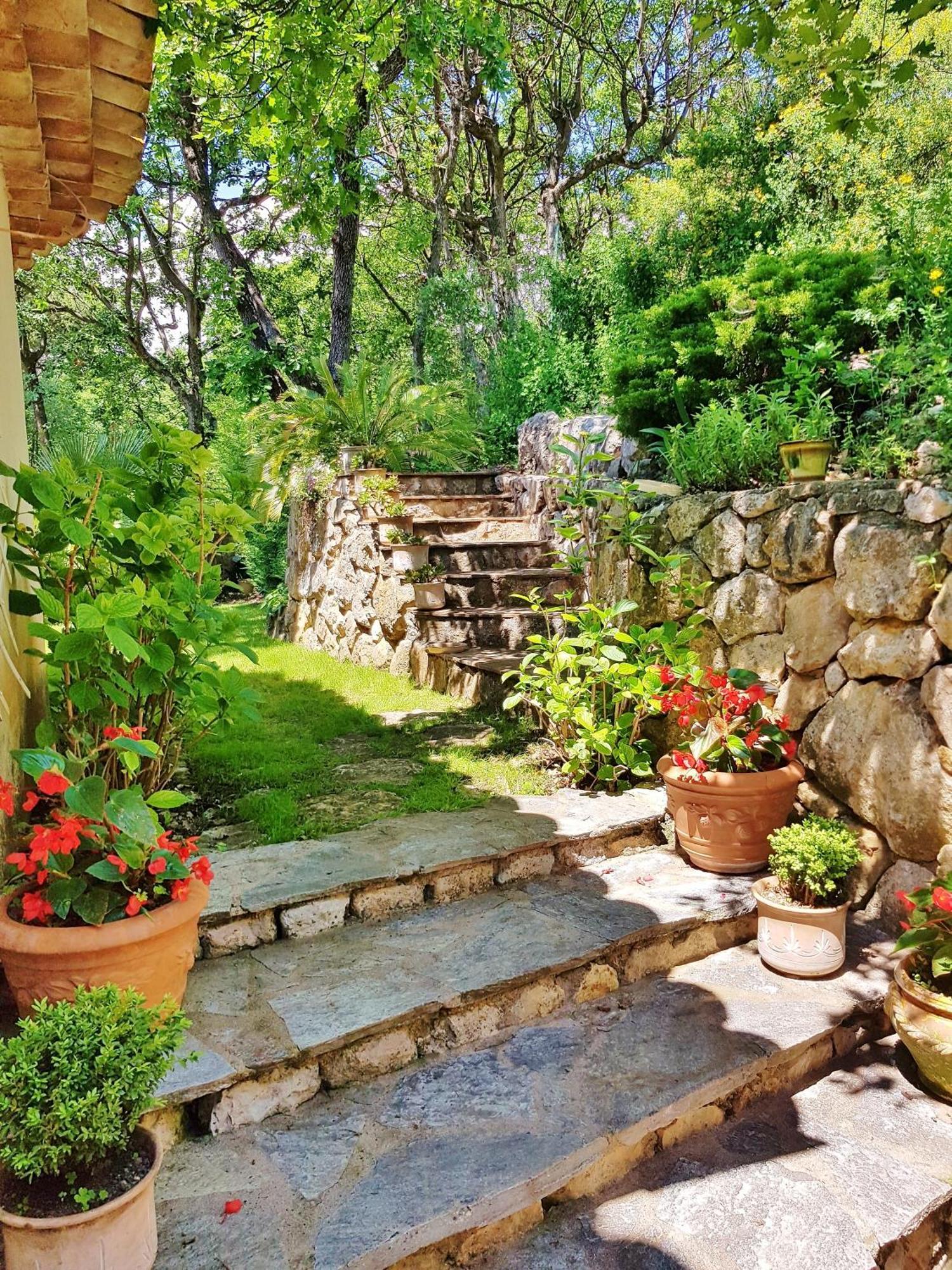 La Bastide Des Pins Bed & Breakfast Vence Ngoại thất bức ảnh