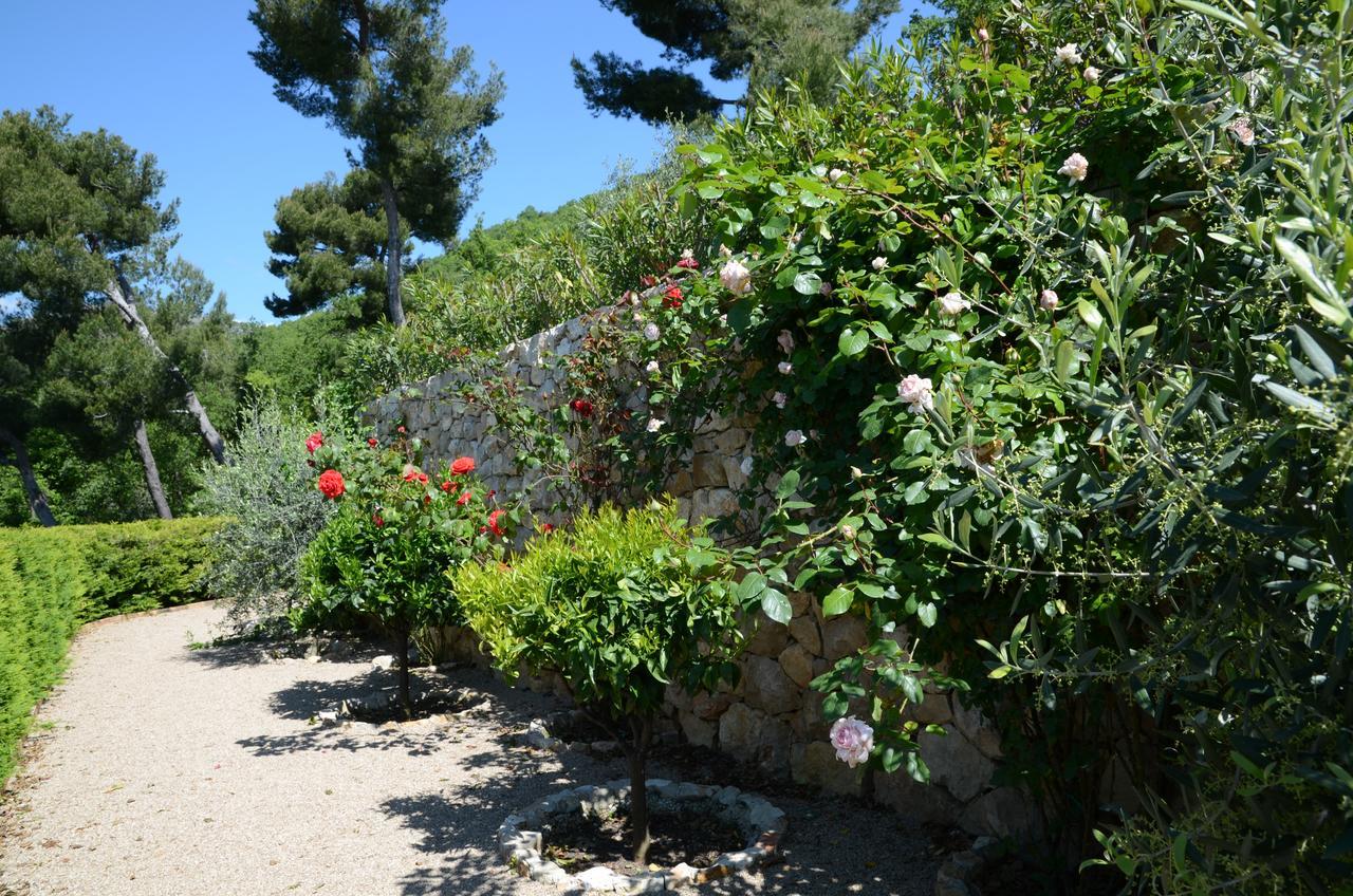 La Bastide Des Pins Bed & Breakfast Vence Ngoại thất bức ảnh